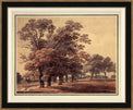 Autumnal Landscape