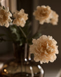 Real Touch Cream Scabiosa Stem close up in vase