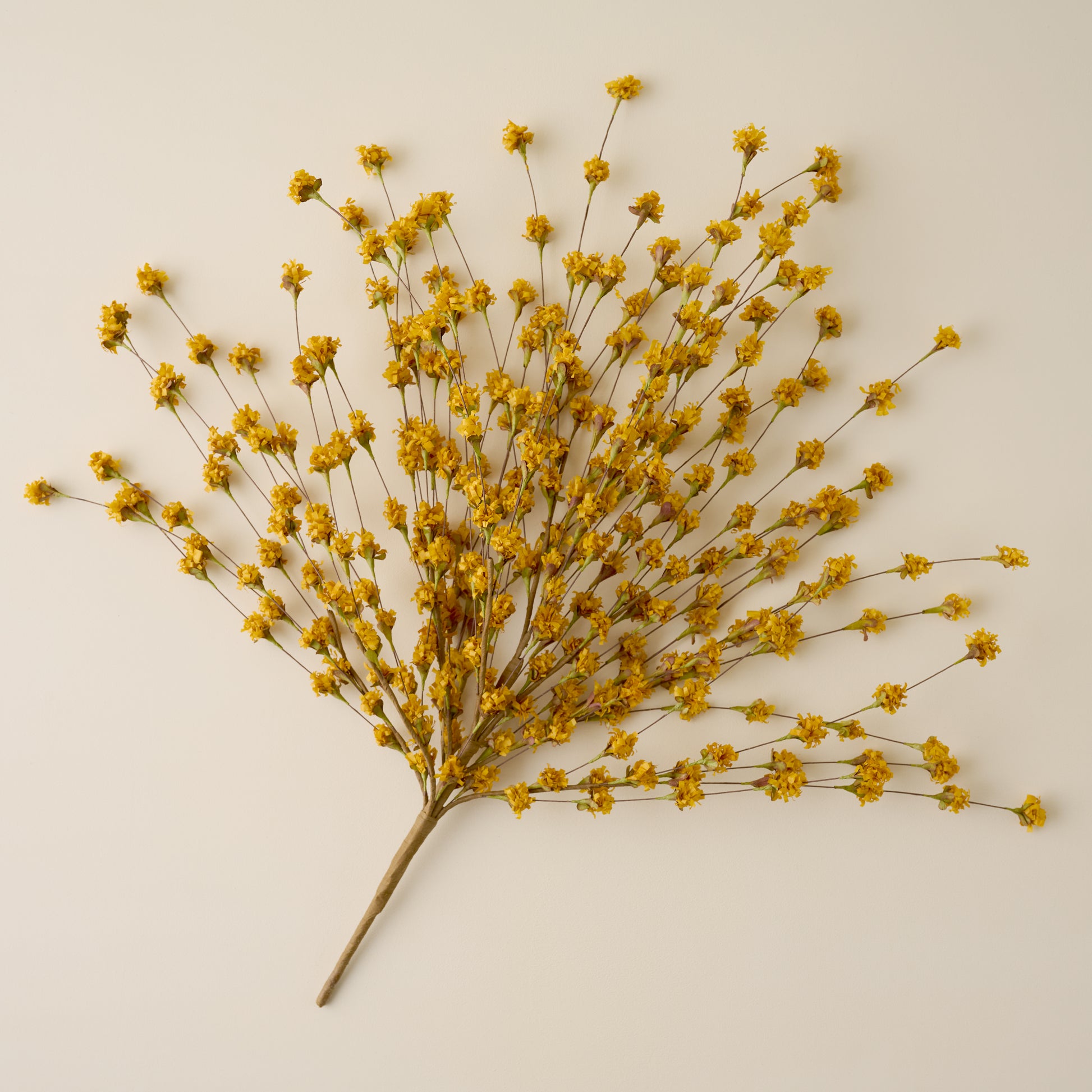 Yellow Wildflower Mix