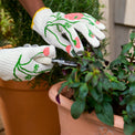 Ranunculus Adult Garden Gloves shown being worn in garden