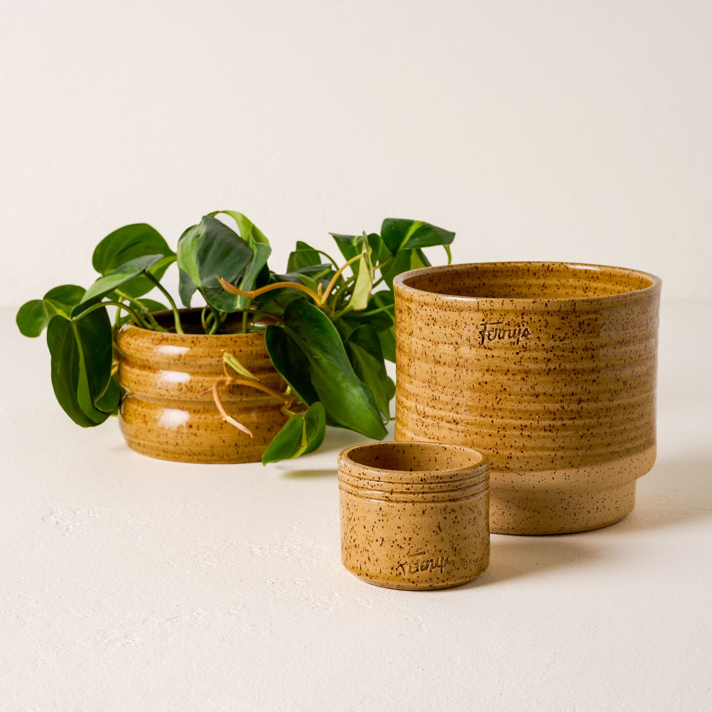 Black Oak Ferny's Bubble Speckle Planter Mustard with other mustard planters