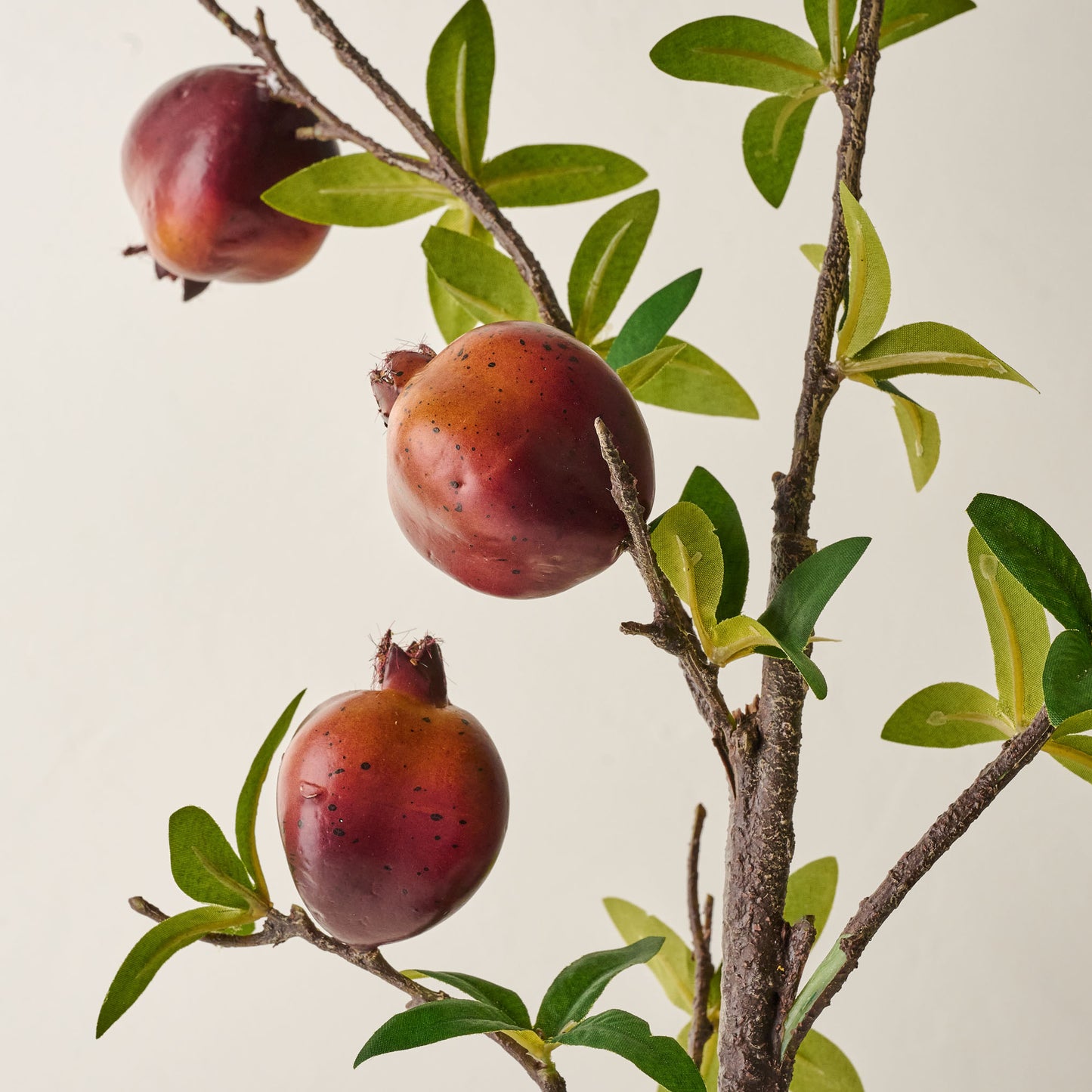 Pomegranate Spray up close