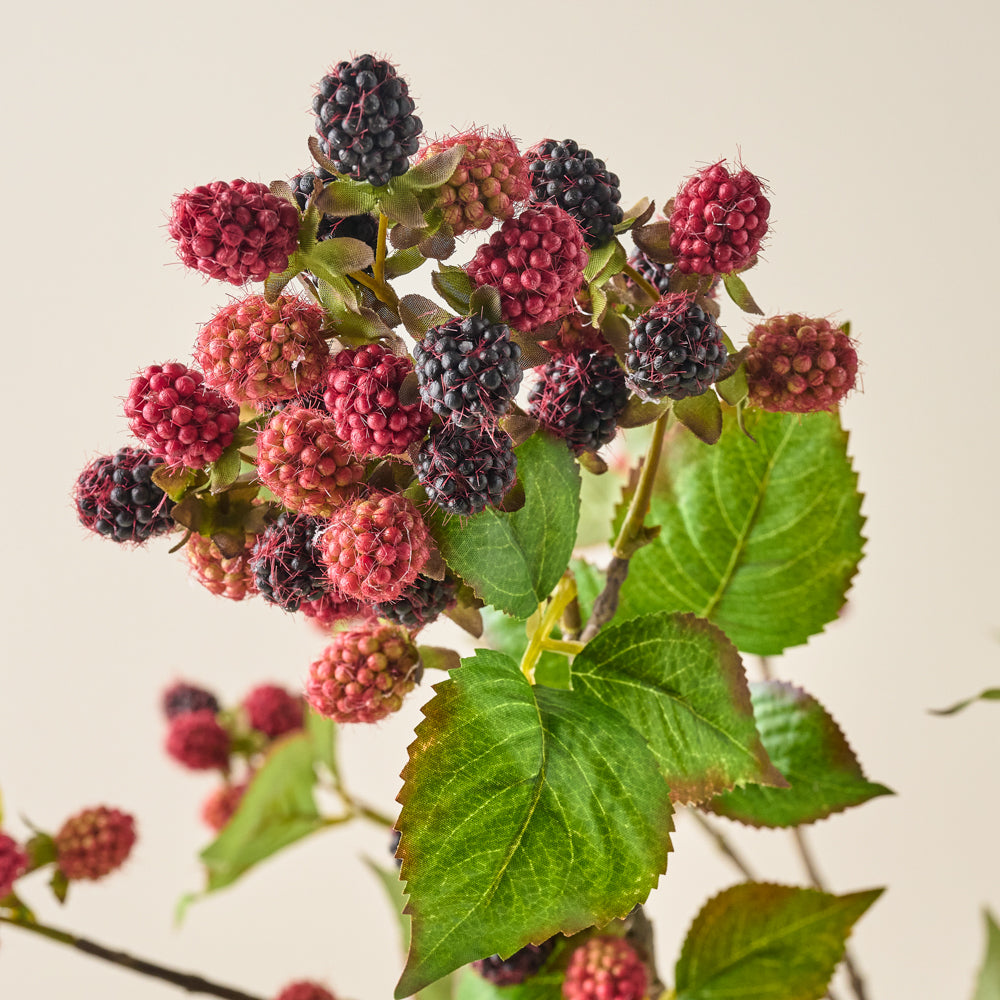 Blackberry Vine Stem up close