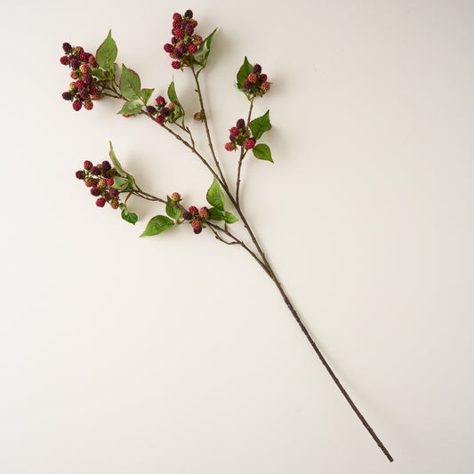 Blackberry Vine Stem