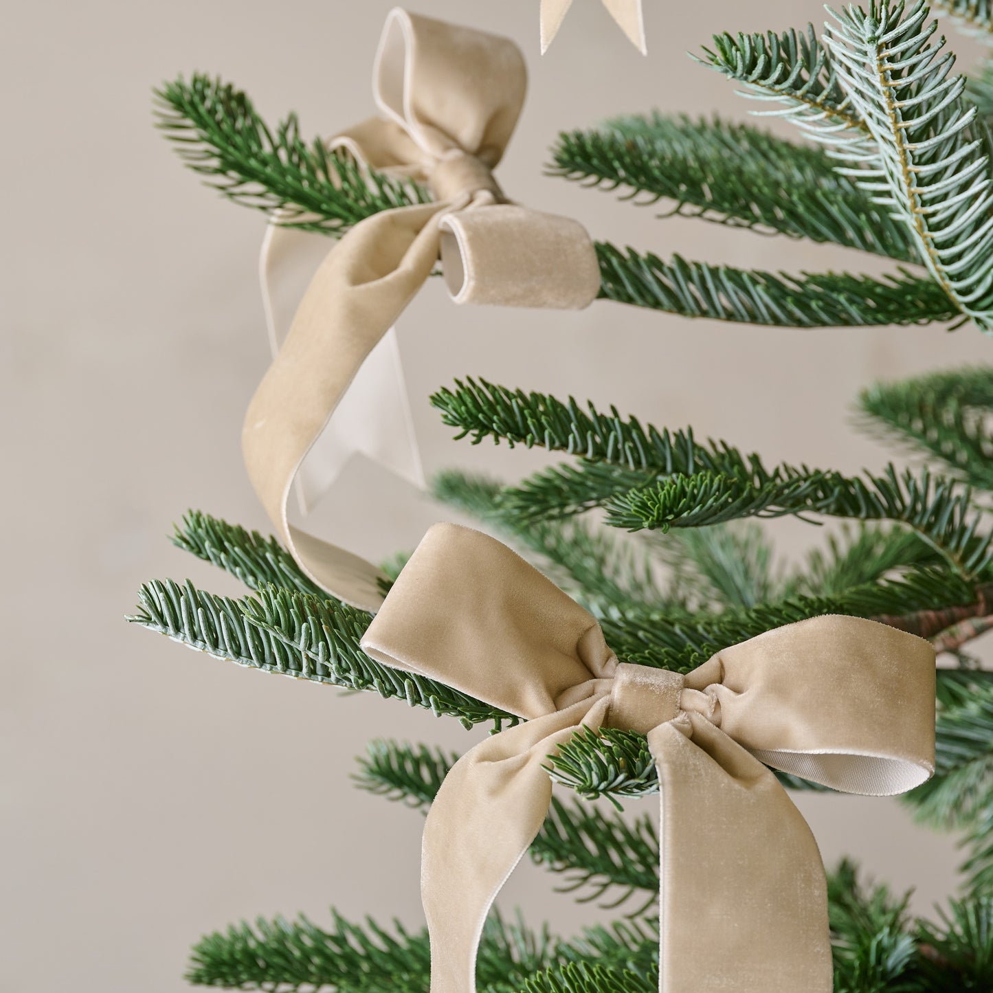 Velvet Bow Ornament Clip, Set of 8 in champagne shown on tree
