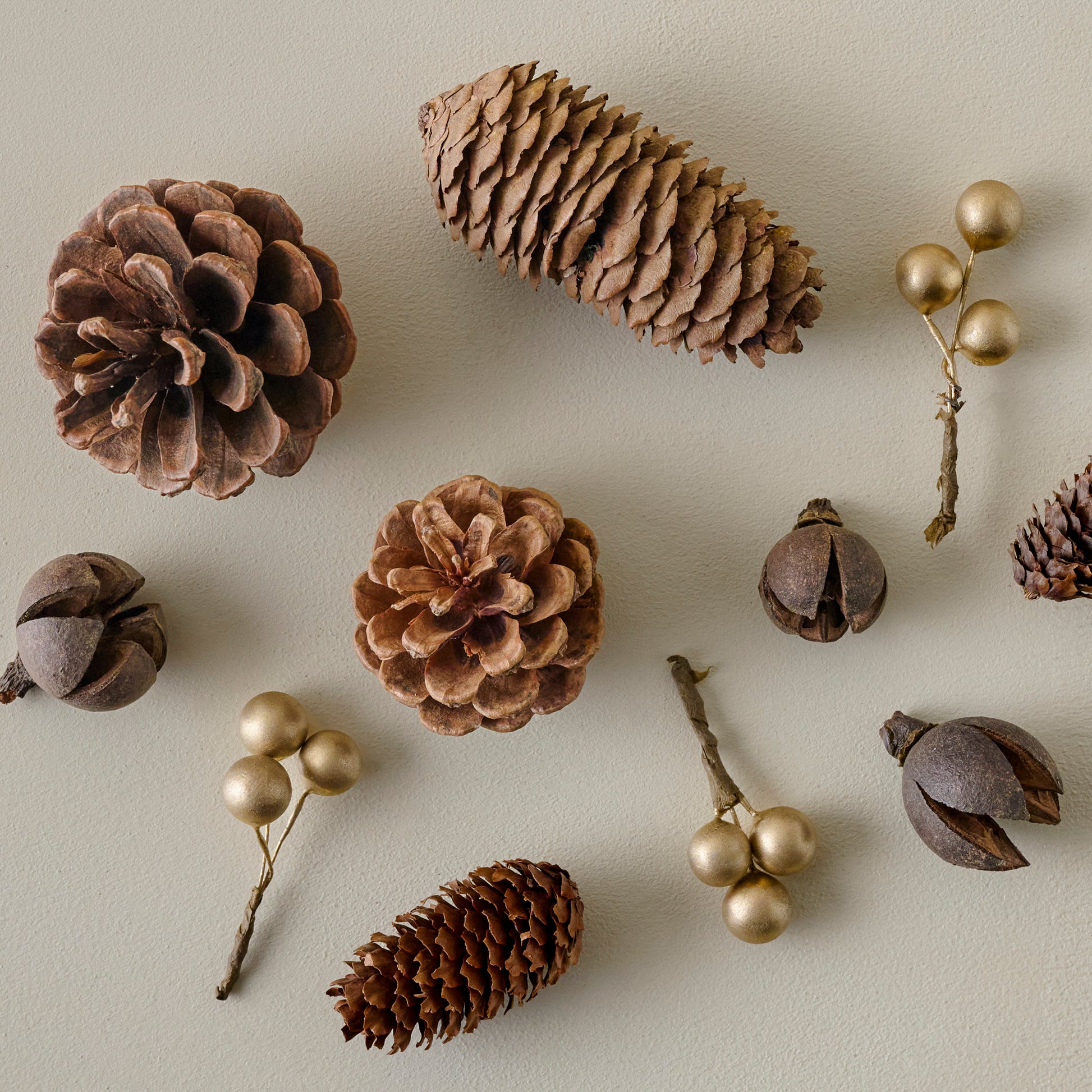 Natural Pinecone Bowl Filler