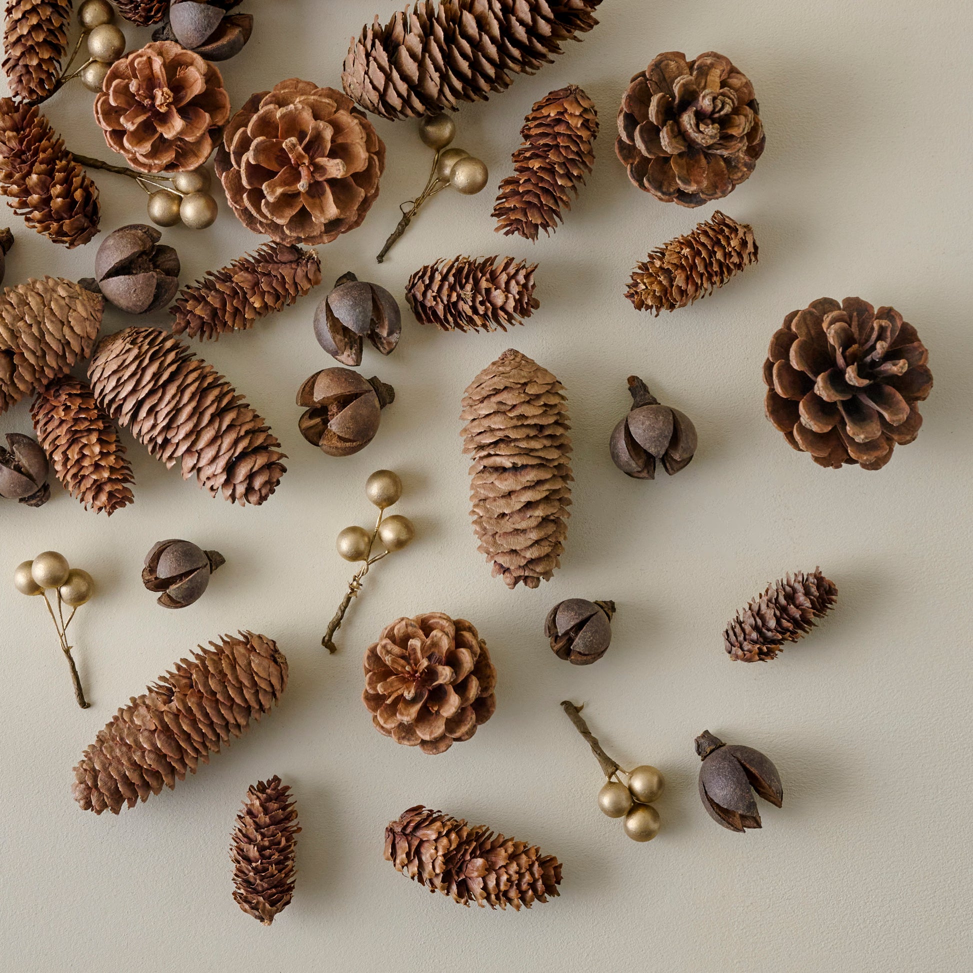 Natural Pinecone Bowl Filler