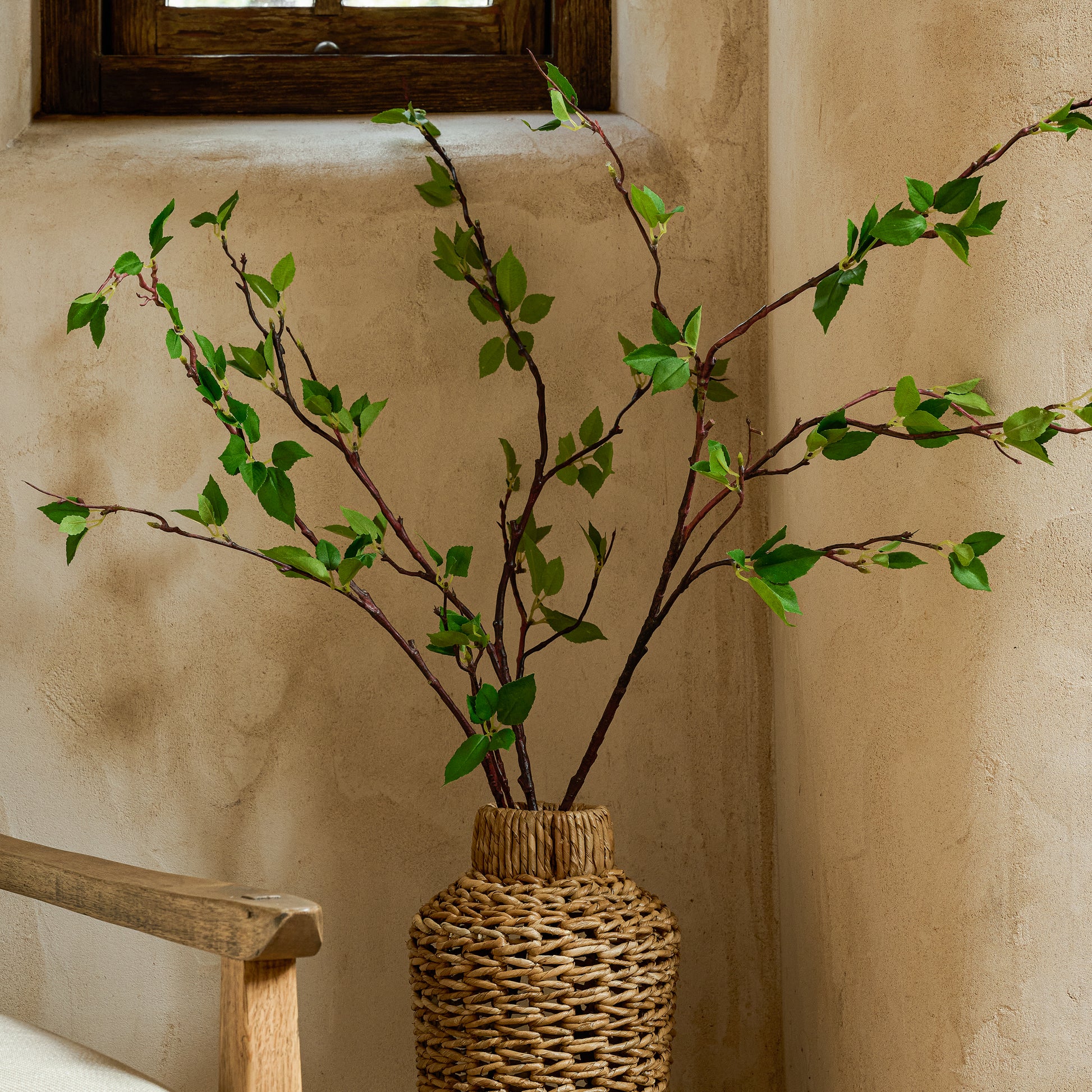 Magnolia Green Leaf Branch