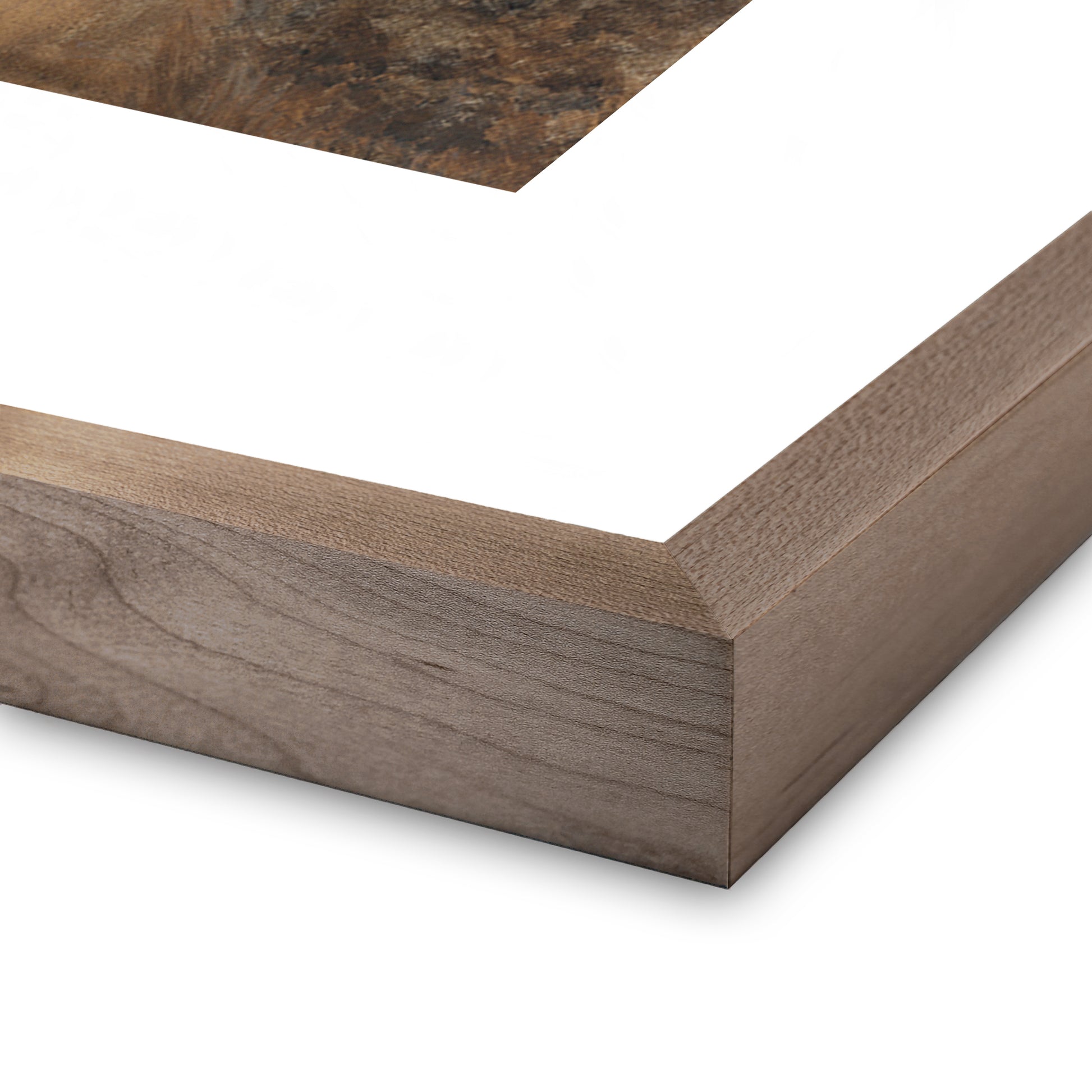 Serene I by Aileen Fitzgerald