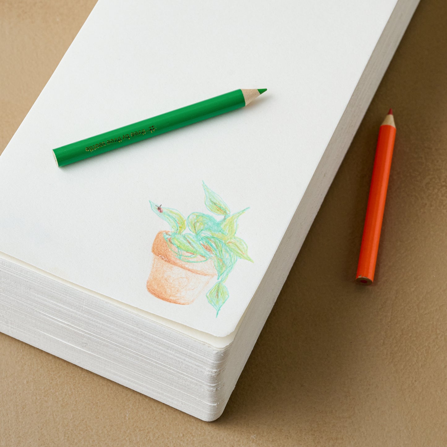 Jotblock sketch pad with colored pencils