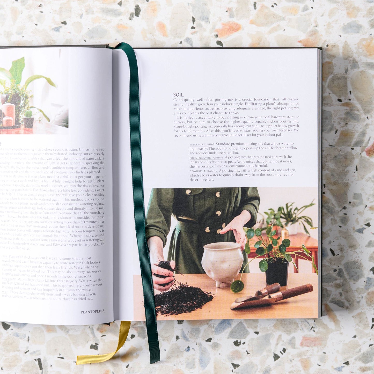 Plantopedia : The Definitive Guide to Houseplants