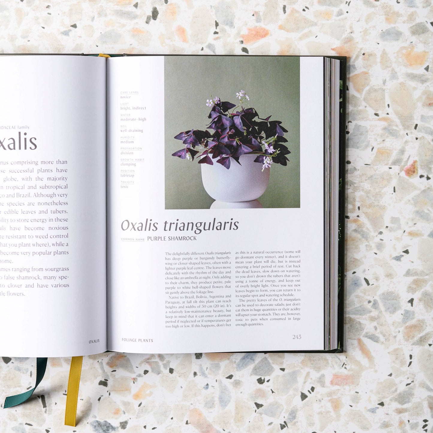 Plantopedia : The Definitive Guide to Houseplants