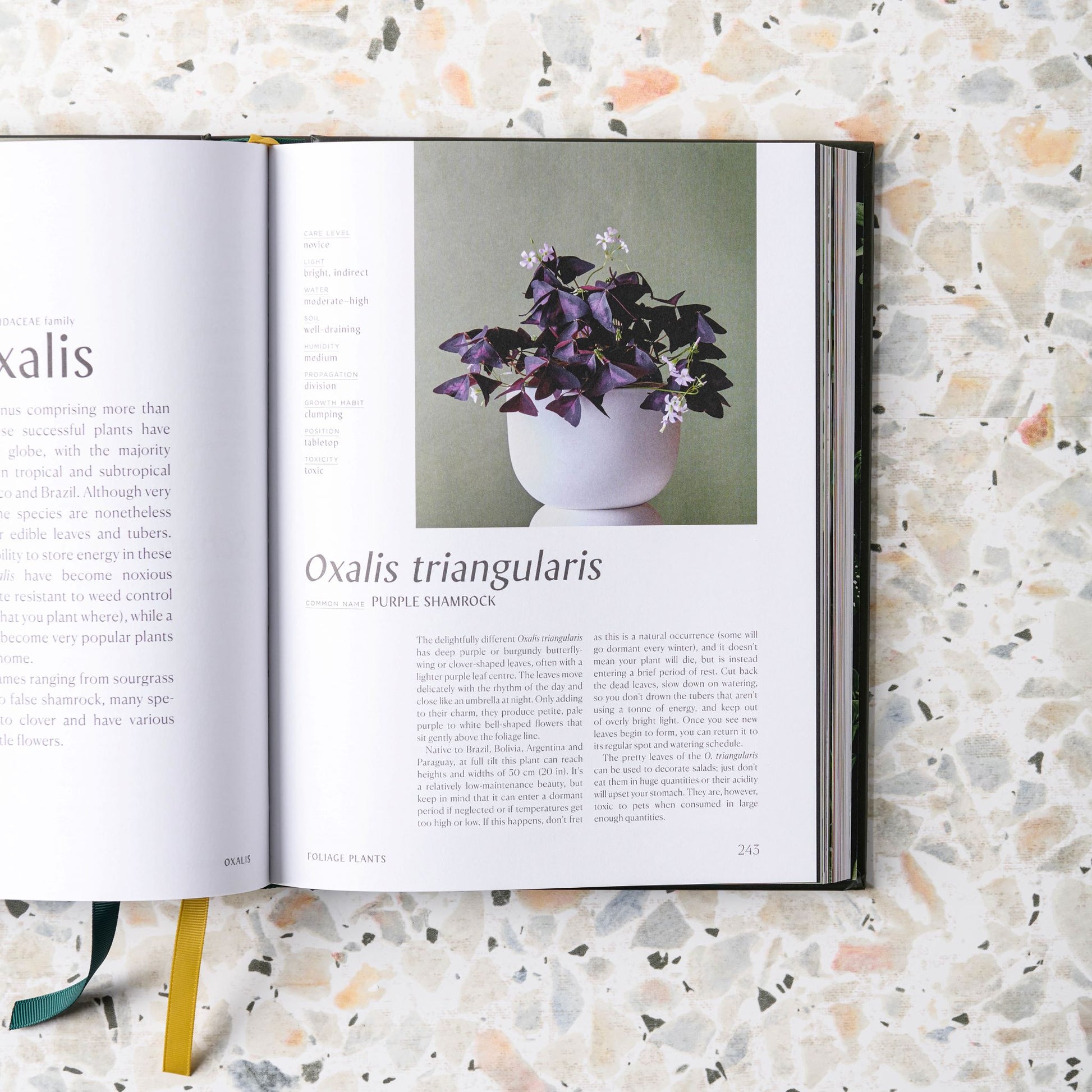 Plantopedia : The Definitive Guide to Houseplants