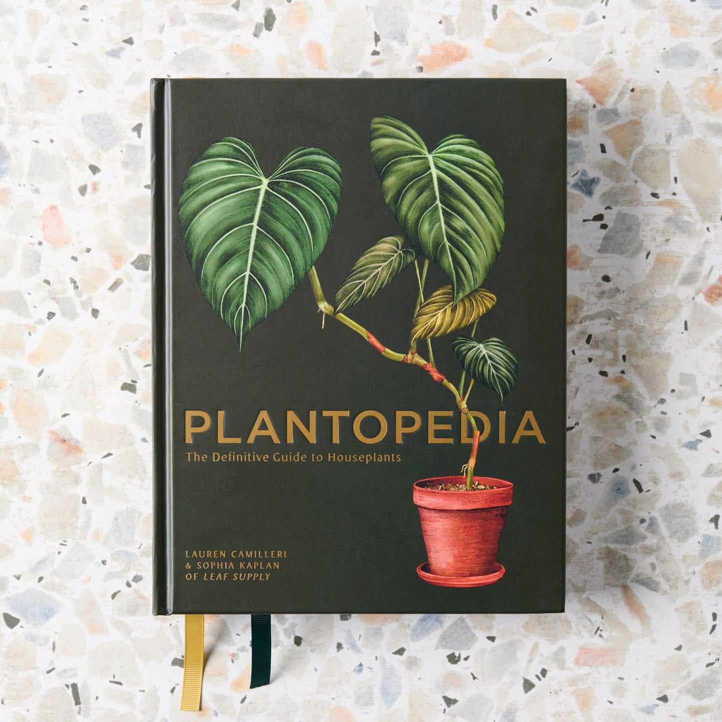 Plantopedia : The Definitive Guide to Houseplants