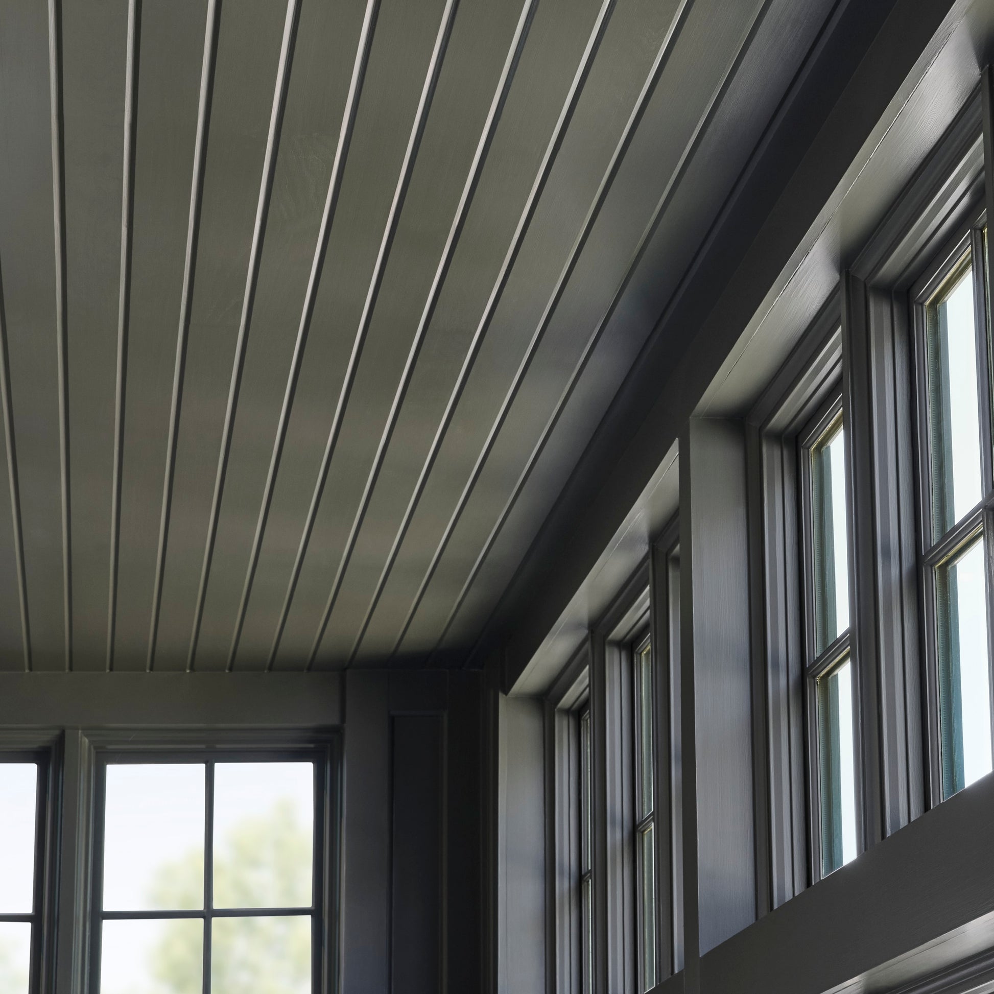 Conservatory - Interior Paint on ceiling of castle conservatory