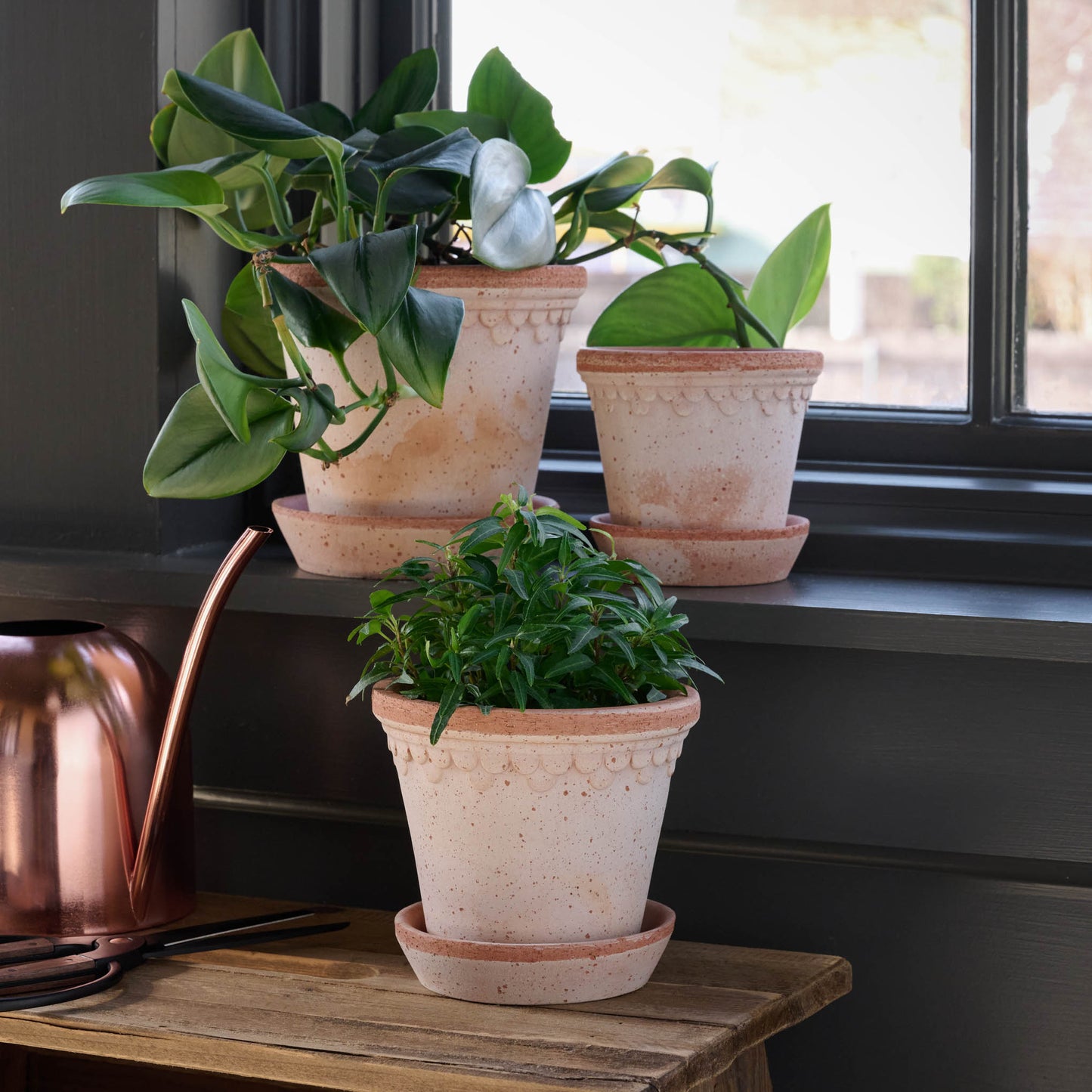 Terracotta Bergs Pot in small medium and large with plants inside in the magnolia castle conservatory
