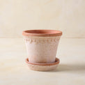 Terracotta Bergs Pot in medium size