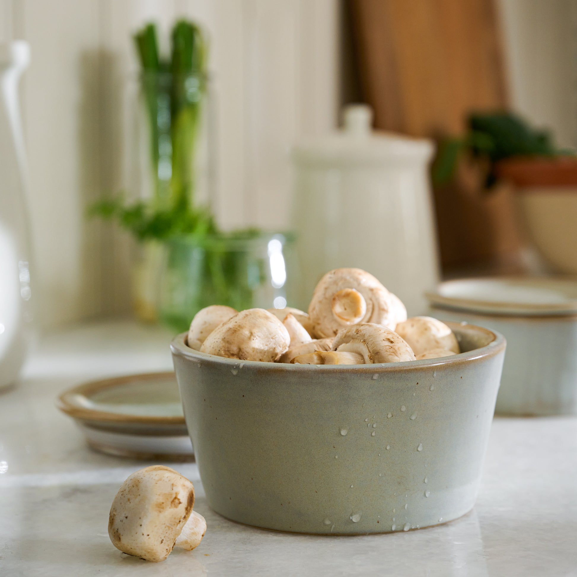 French Grey Ceramic Food Storage Bowl containing mushrooms