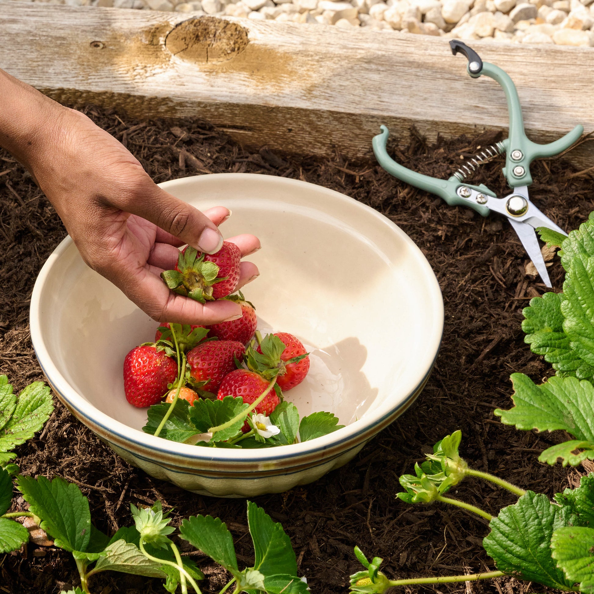 Pale Mint Pruning Shears in a garden