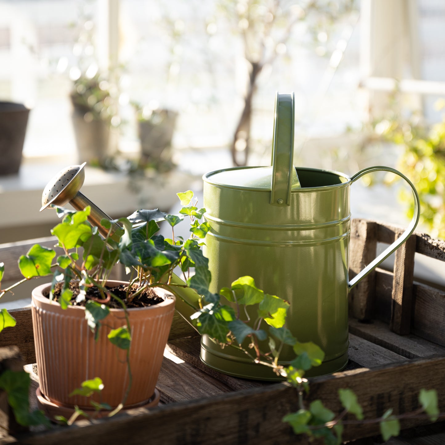 Magnolia Green Enamel Watering Can With Decor