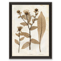 art print of preserved plants in wooden frame