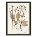 art print of preserved plants in wooden frame