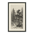 framed wall art sketch of tall trees in forest in black frame with cream mat