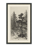framed wall art sketch of tall trees in forest in black frame with cream mat