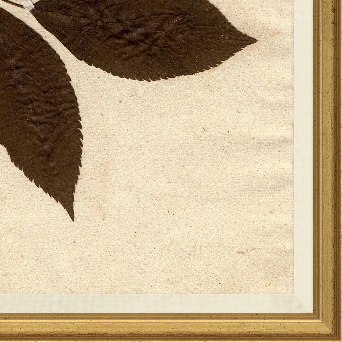 corner view of wall art print of preserved plants in wooden frame