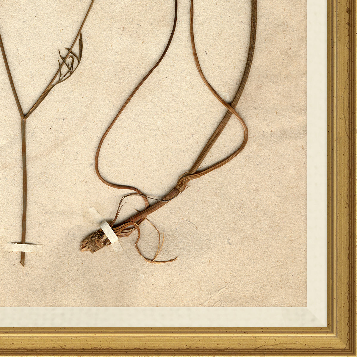 corner view of wall art print of preserved plants in wooden frame