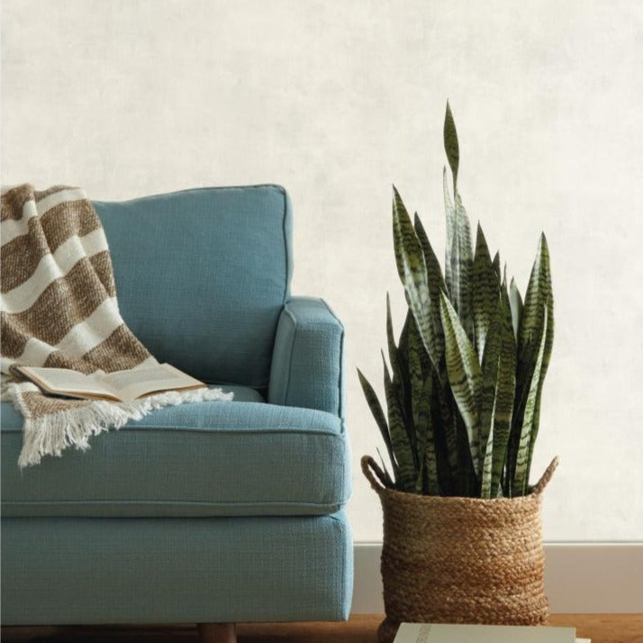 white and off-white plaster patterned wallpaper
