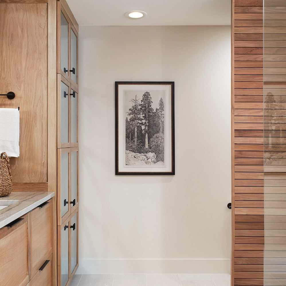 framed portrait sketch of tall trees in forest in black frame with cream mat