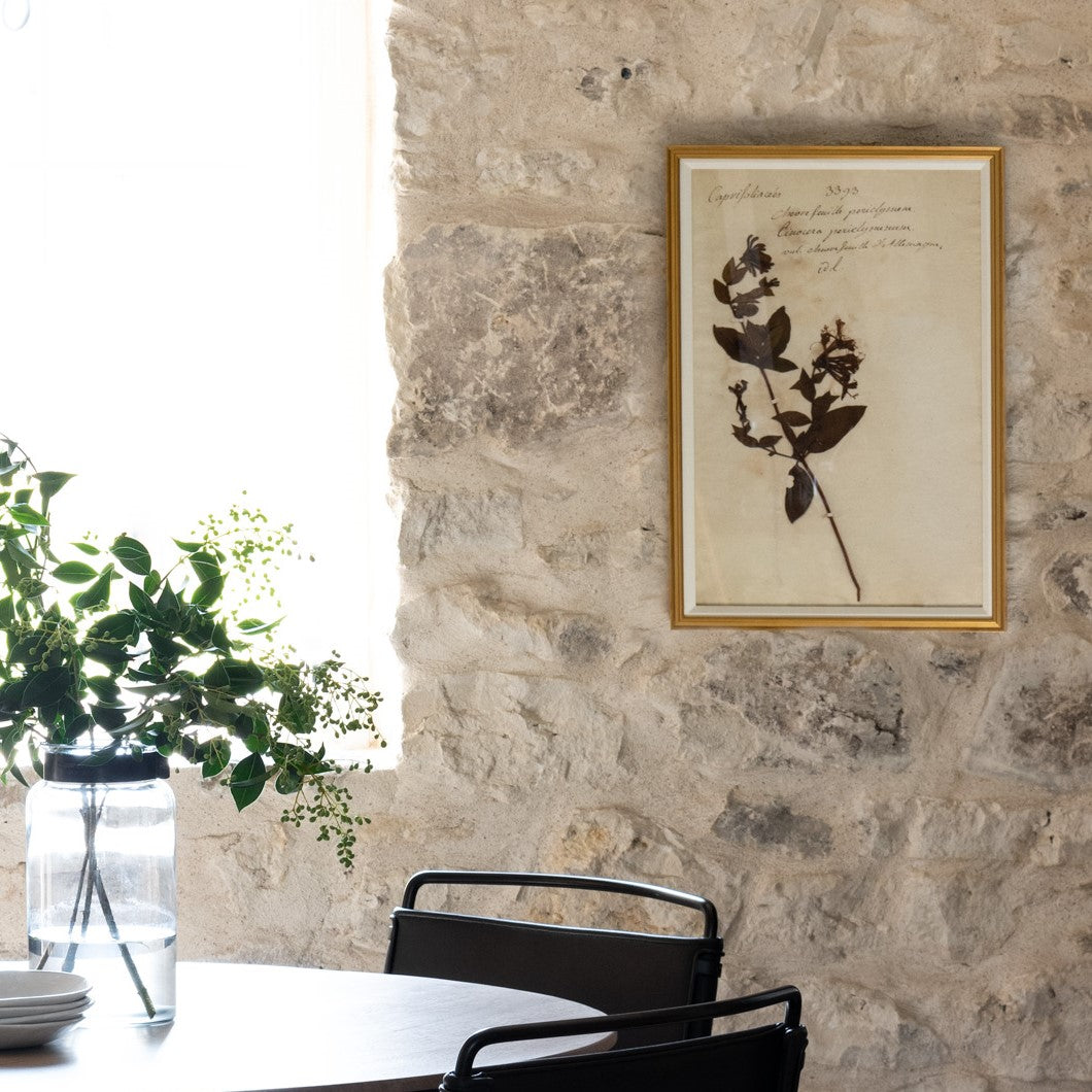 framed art print of preserved plants in wooden frame hanging on stone wall
