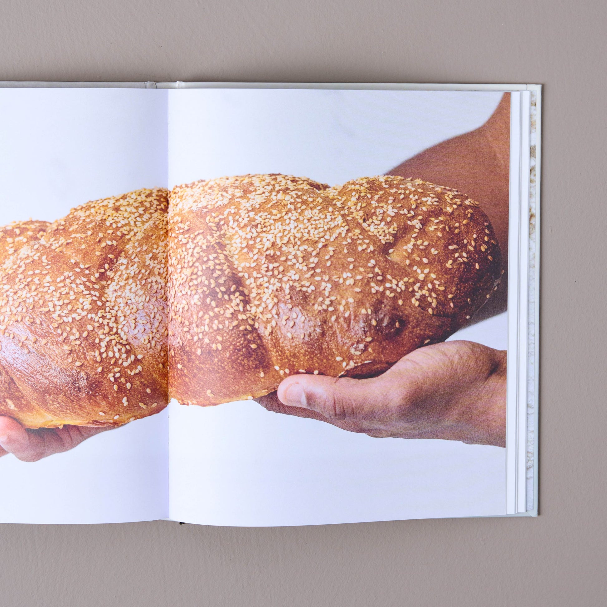 New World Sourdough cookbook