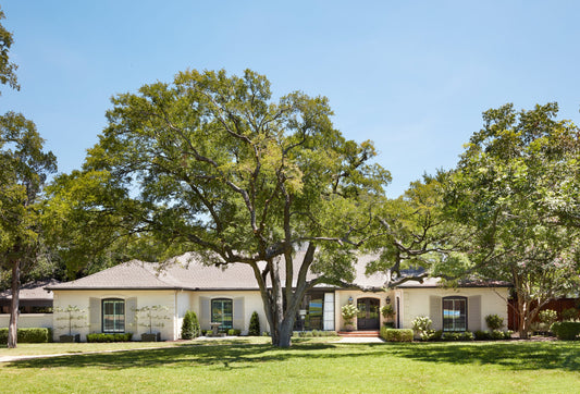 MAGNOLIA image
