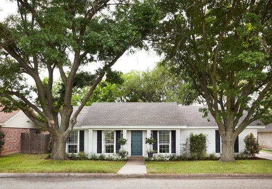 MAGNOLIA image