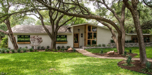 MAGNOLIA image