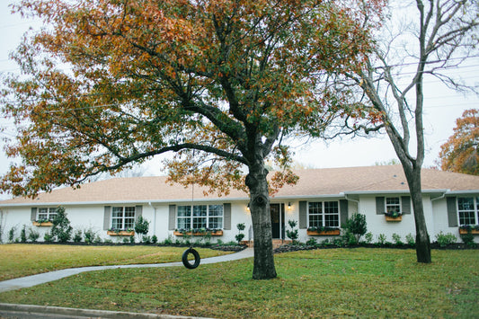 MAGNOLIA image