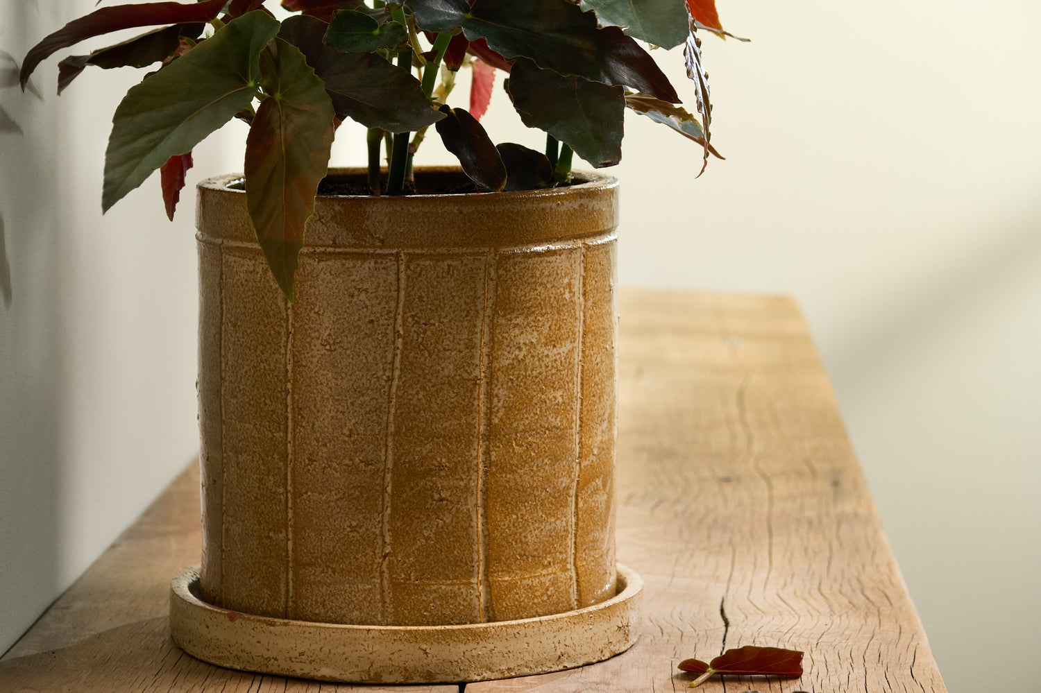 Natural Decor