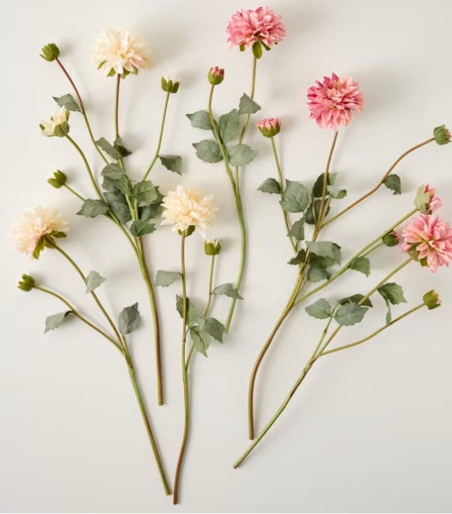 Florals and Stems: Flower Shoppe