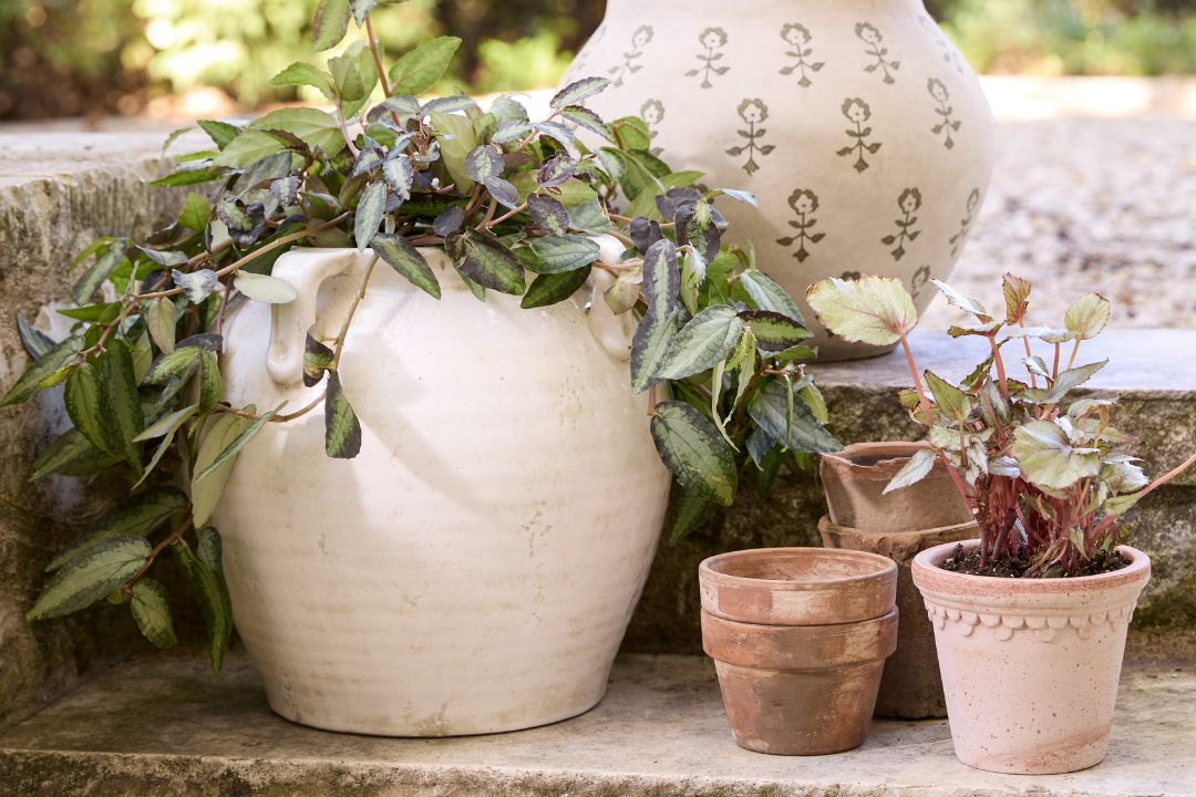 Decorative Vases: Glass, Ceramic & Table Vases