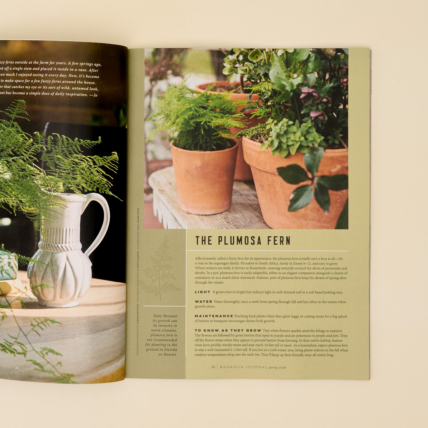 Magnolia Journal Spring 2026 page featuring potted plants