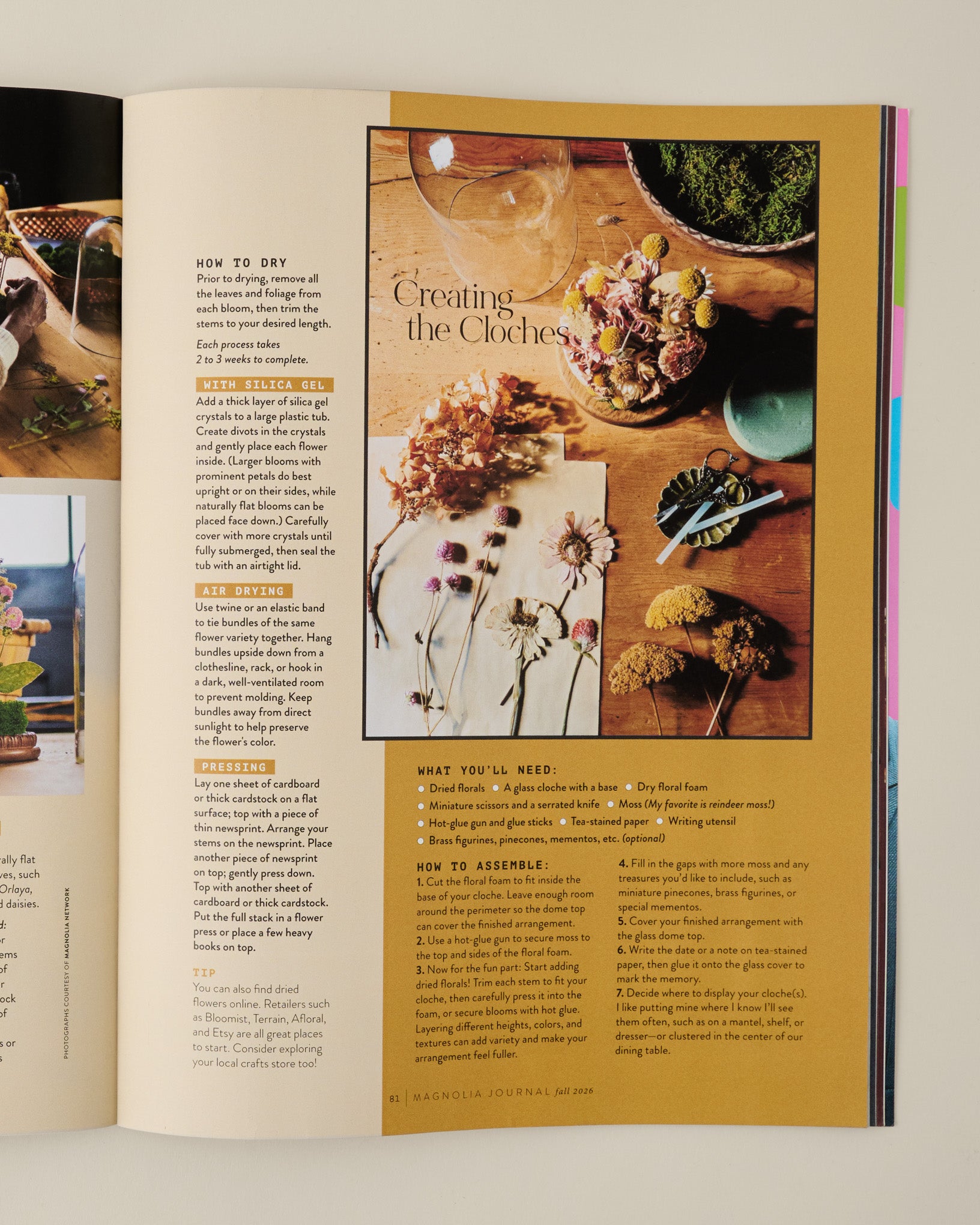Magnolia Journal Fall 2026 DIY cloche page