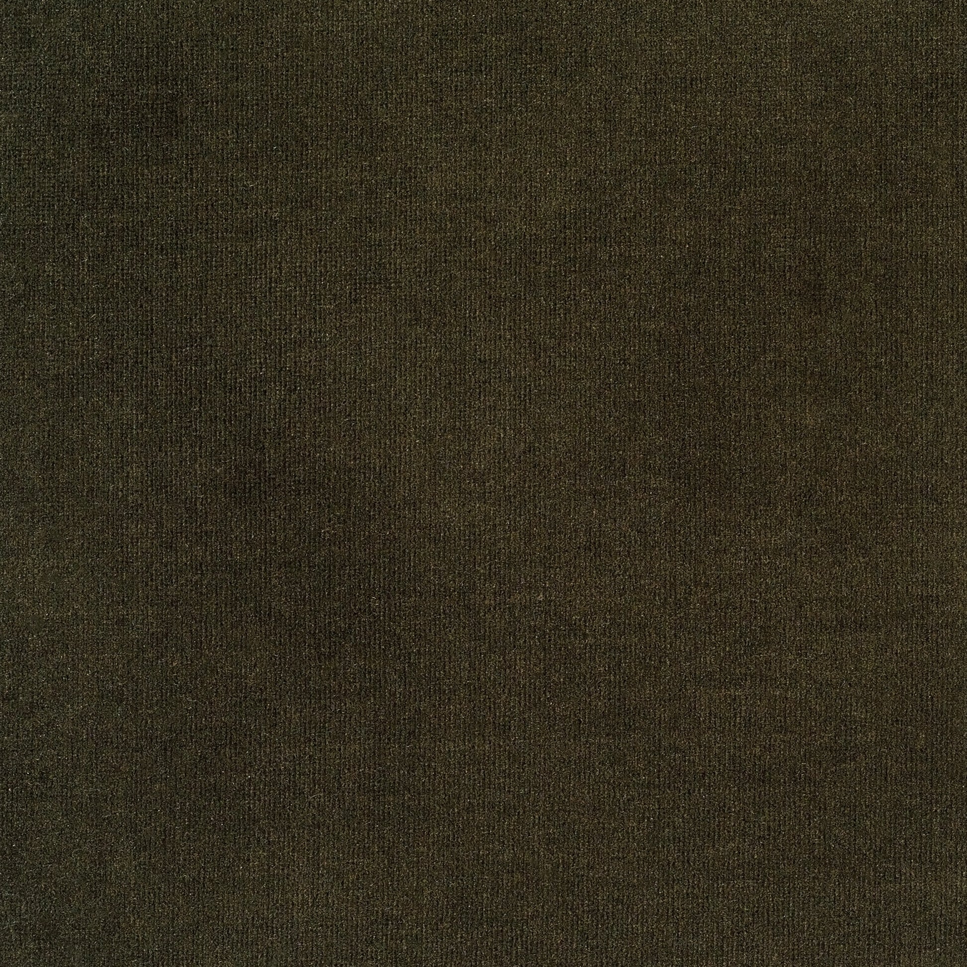 Surrey Olive upholstery fabric swatch