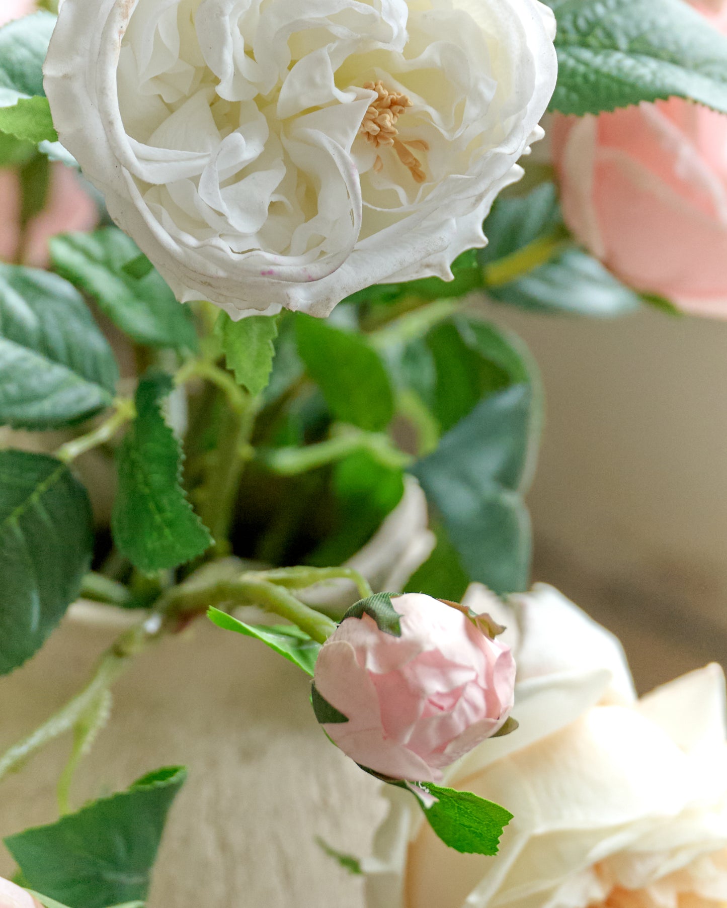 Austin Rose Stem (White) close up