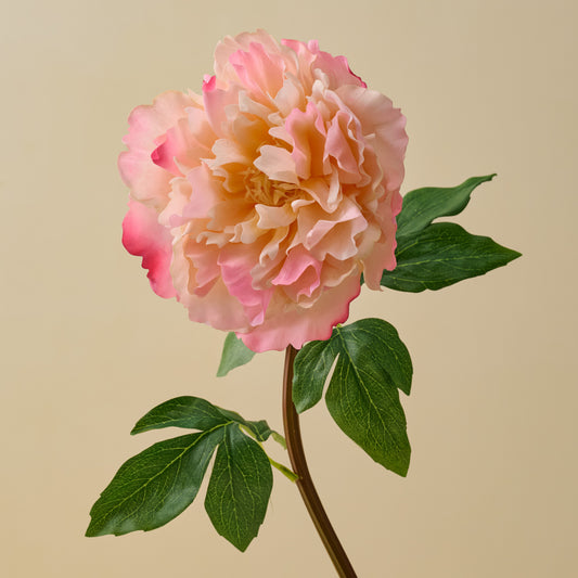 Real Touch Peach Peony Stem