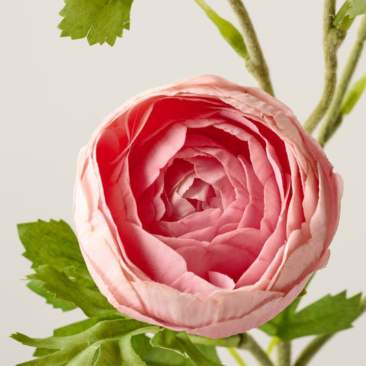 Pink Real Touch Ranunculus Stem up close