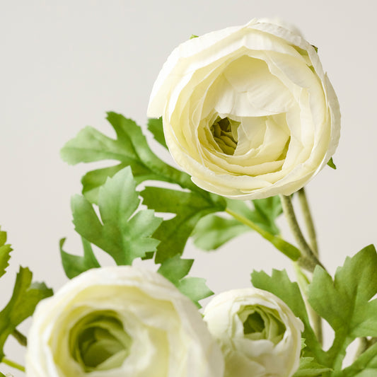 White Real Touch Ranunculus Stem up close