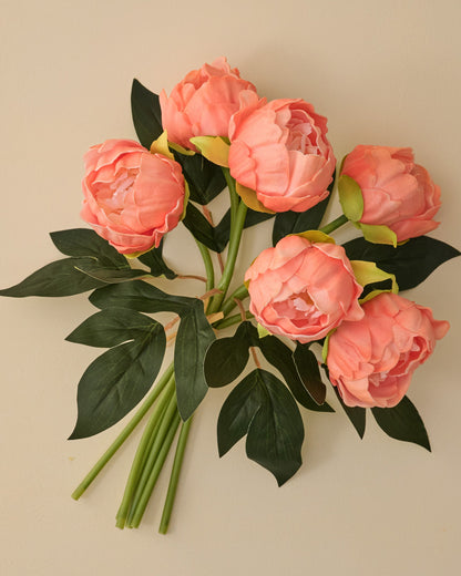 Dark Peach Peony Bundle