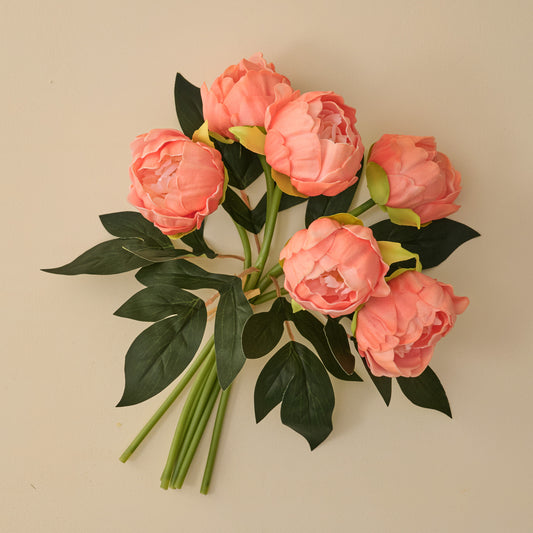 Dark Peach Peony Bundle